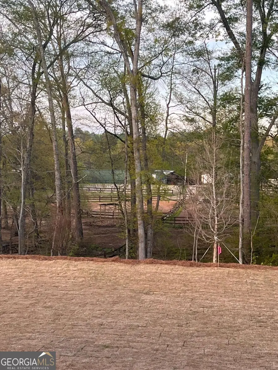 176 Meander Drive, Woodstock, GA 30188 - #2