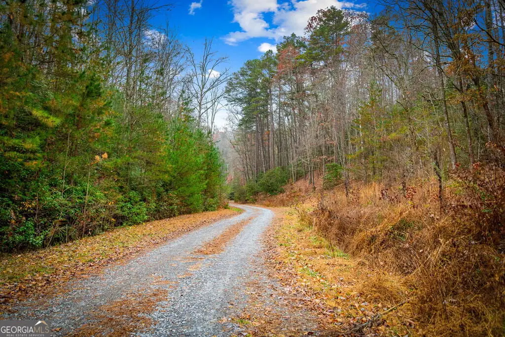 5.97AC Bullen Gap Road, Blue Ridge, GA 30513 - #1