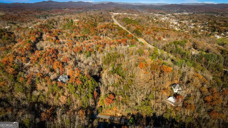 5.97AC Bullen Gap Road, Blue Ridge, GA 30513 - #2