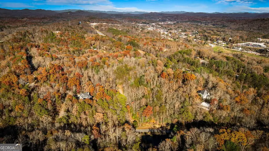 5.97AC Bullen Gap Road, Blue Ridge, GA 30513 - #3
