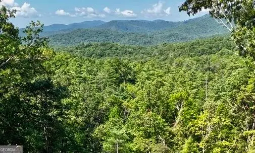 LOTS 12 &14 Crows Nest, Clayton, GA 30525 - #3