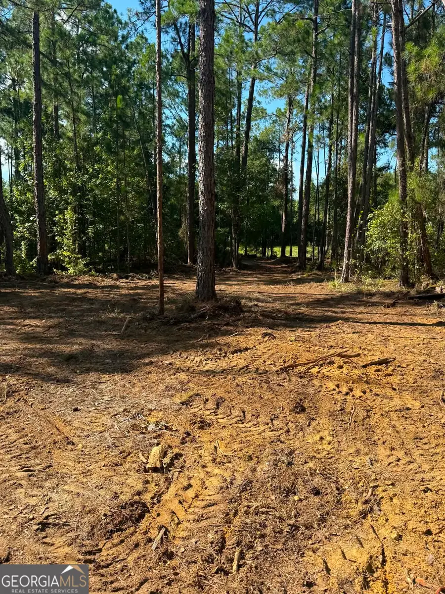 0 Fountain Road, Eastman, GA 31023 - #3