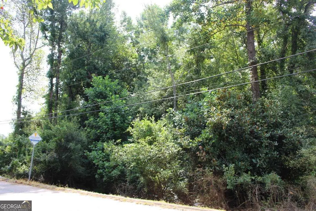218 Ella Drive, Griffin, GA 30223 - #1