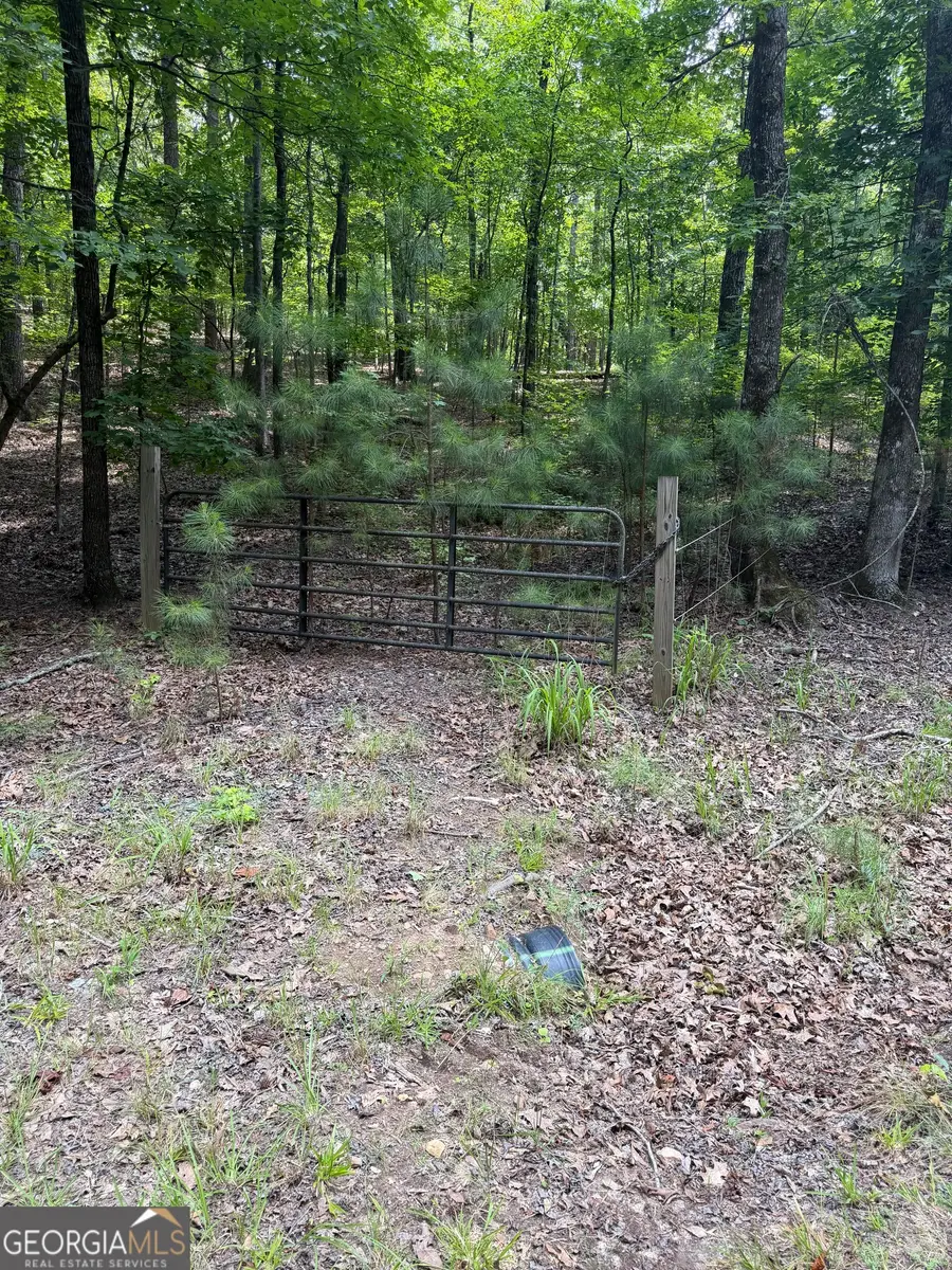 0 Pleasant Valley Road, Thomaston, GA 30286 - #3