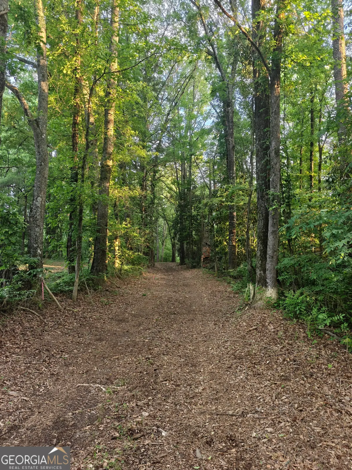 0 Quick Drive, Senoia, GA 30276 - #1