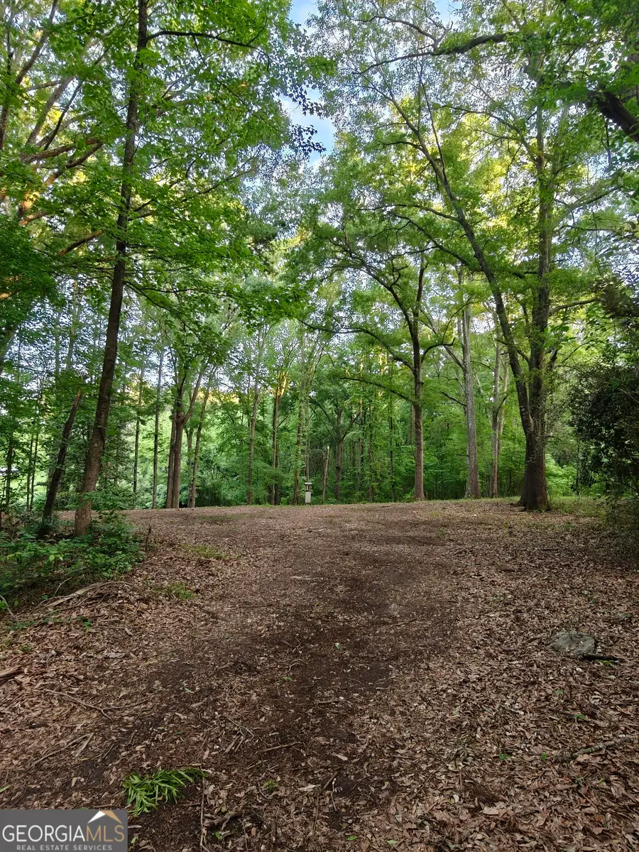 0 Quick Drive, Senoia, GA 30276 - #2