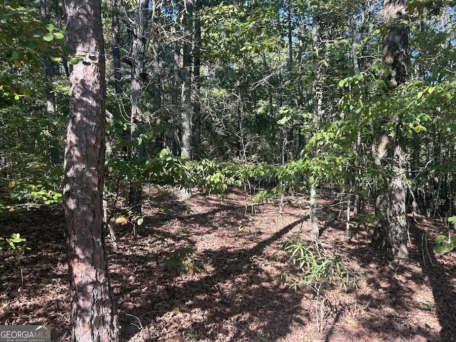 0 Springer Road, Whitesburg, GA 30185 - #3