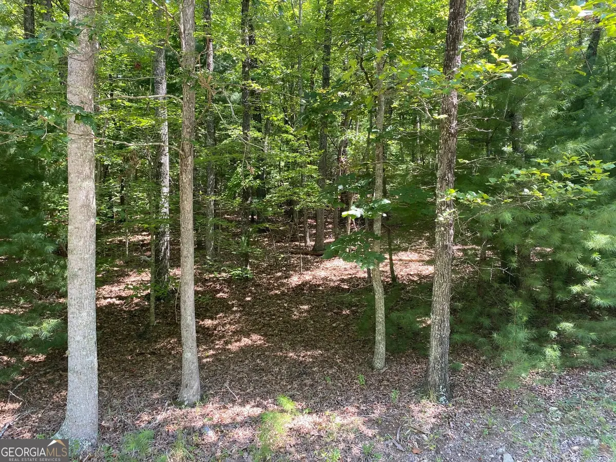 6.93 AC Timber Ridge Road, Blairsville, GA 30512 - #1