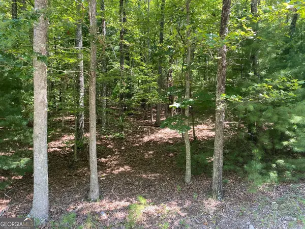 6.93 AC Timber Ridge Road, Blairsville, GA 30512