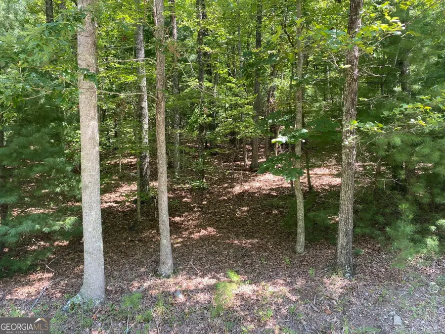 6.93 AC Timber Ridge Road, Blairsville, GA 30512 - #3