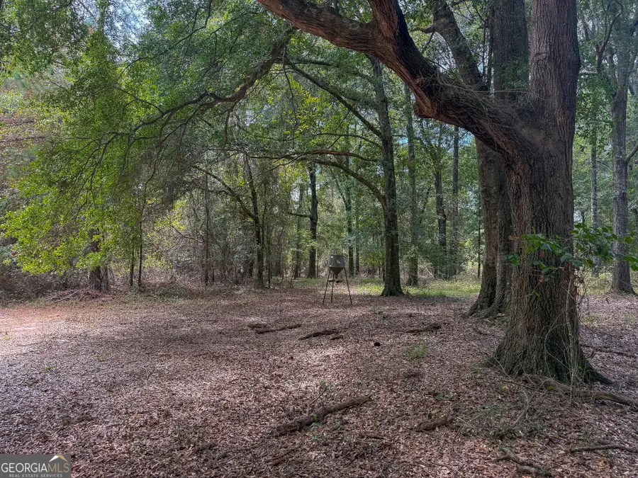 4570 Spanns Mill Road, Preston, GA 31824 - #3