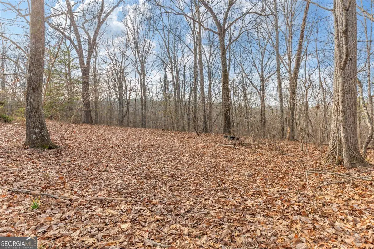 13 ACRES Percheron Drive, Dalton, GA 30720 - #1