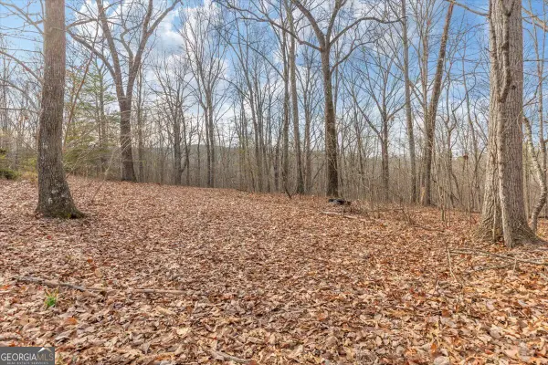 13 ACRES Percheron Drive, Dalton, GA 30720
