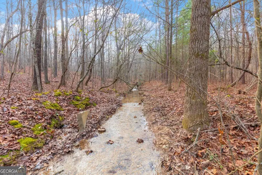 13 ACRES Percheron Drive, Dalton, GA 30720 - #2
