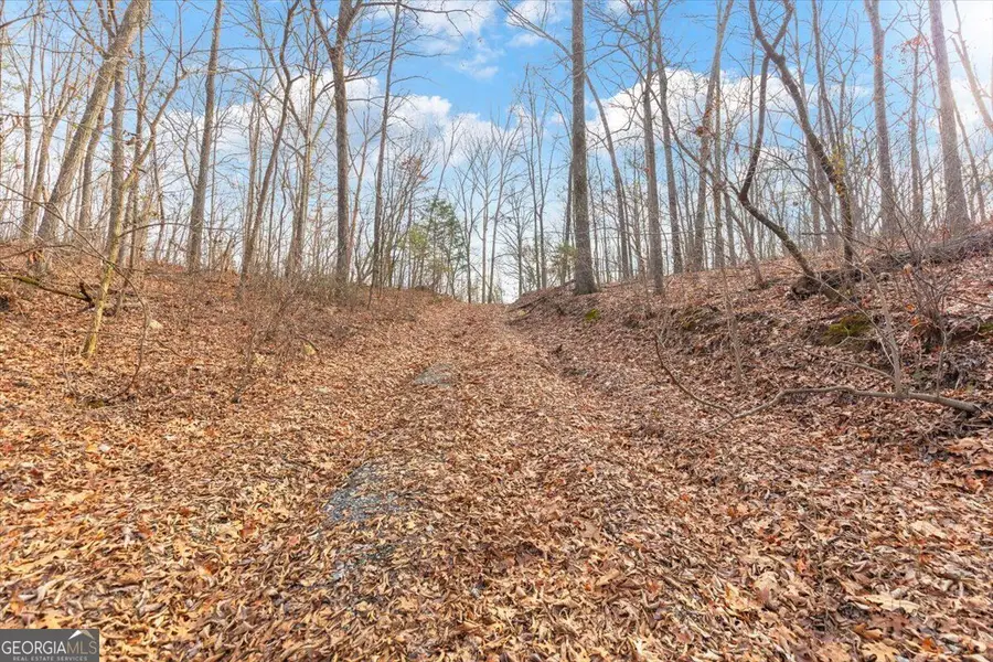 13 ACRES Percheron Drive, Dalton, GA 30720 - #3