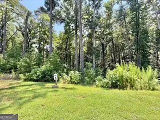 LOT 16 Yonah Lake Drive, Sautee Nacoochee, GA 30571 - #3