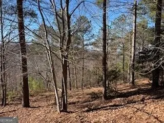 0 Mile High Ln, Blairsville, GA 30512 - #3