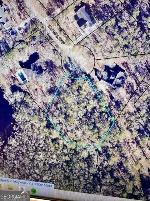 LOT 16 Old Mill Way, Statesboro, GA 30461 - #3