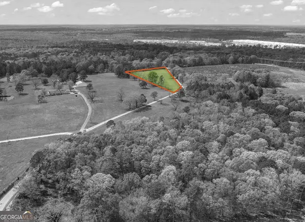 0 Minter Drive, Hampton, GA 30228