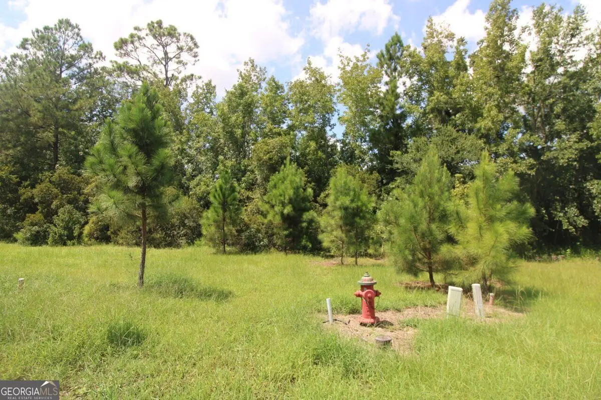 203 Drayton Circle, Brunswick, GA 31525 - #1