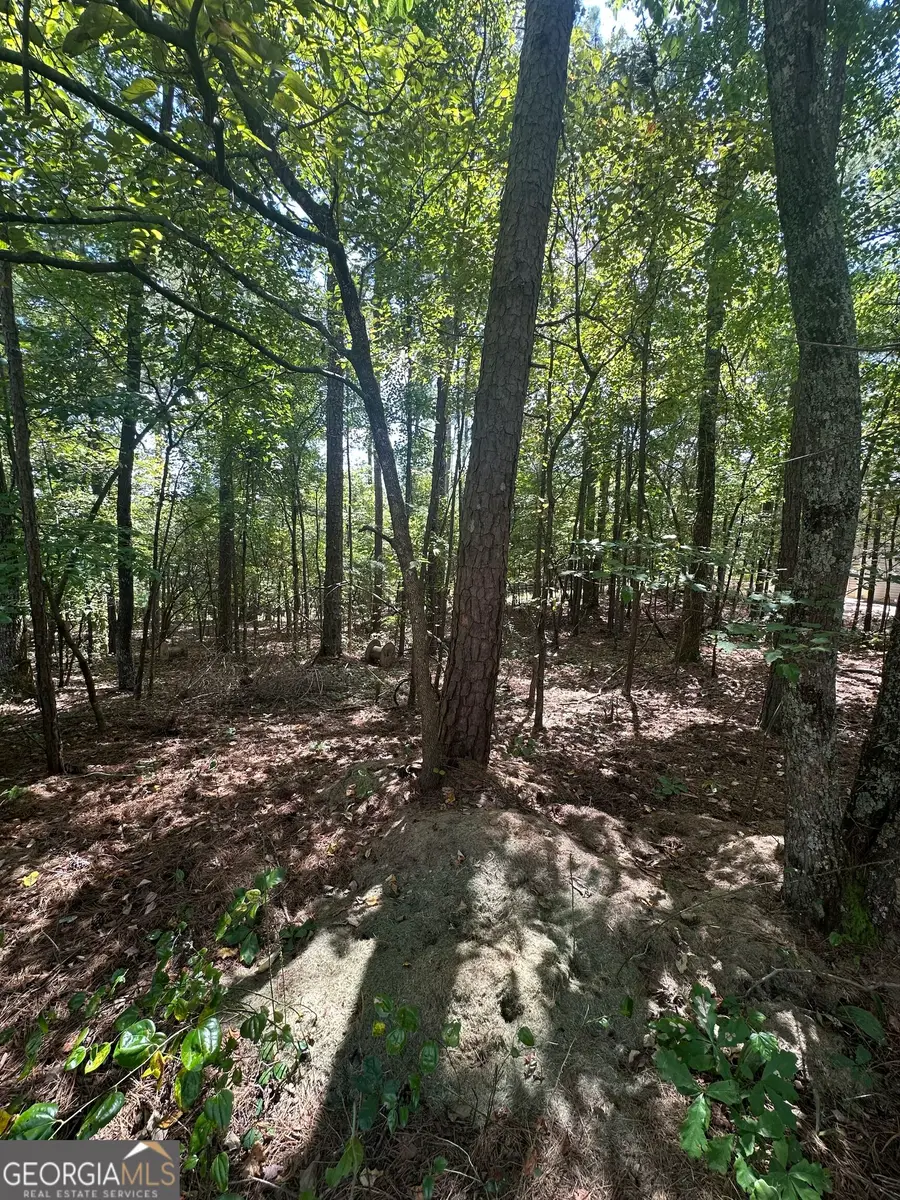 9105 Tarnwood Drive, Villa Rica, GA 30180 - #3