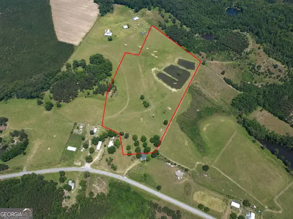 23.03 ACRES Carters Bridge Road, Claxton, GA 30417