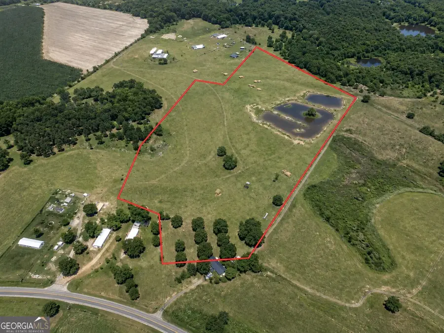 23.03 ACRES Carters Bridge Road, Claxton, GA 30417 - #3