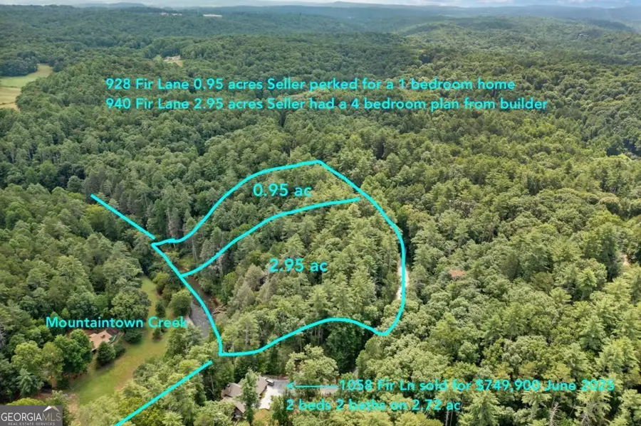 928 Fir Lane #3624, Ellijay, GA 30540 - #3