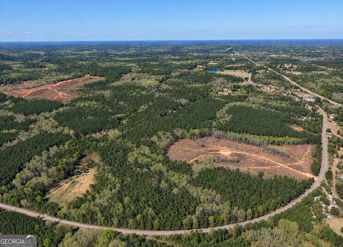 40 ACRES Pobiddy Road, Thomaston, GA 30286 - #1