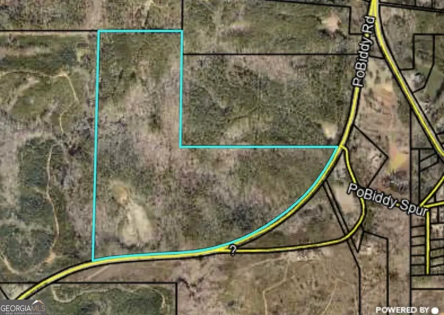 40 ACRES Pobiddy Road, Thomaston, GA 30286 - #2