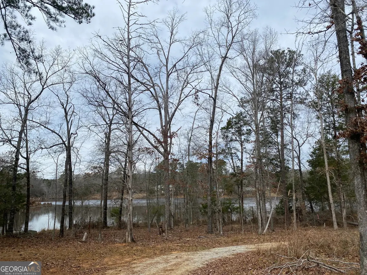 0 Paradise Street, Lincolnton, GA 30817 - #1