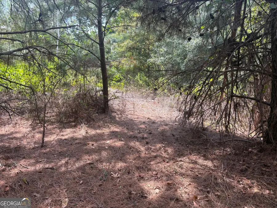 L12 N Indian Trail Road, Sandersville, GA 31082 - #2
