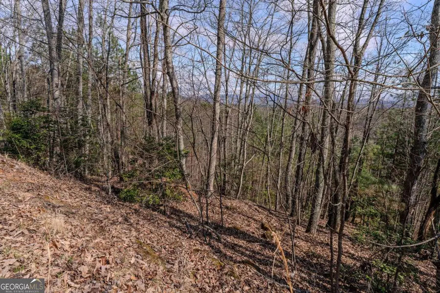 19/20 The Hills At Queens Gap, Blairsville, GA 30512 - #3