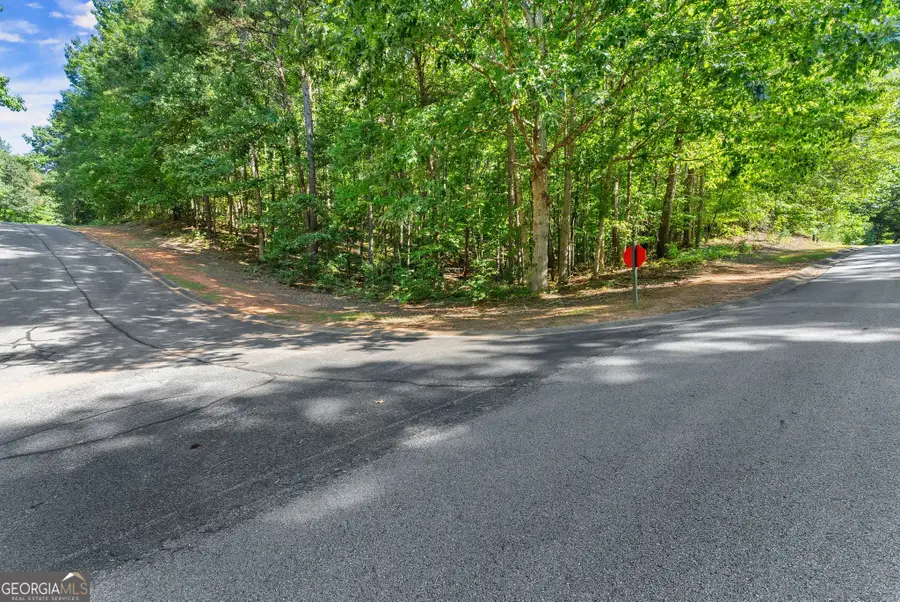 786 Cherry Court #718, Clarkesville, GA 30523 - #2