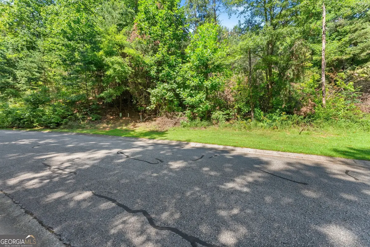 0 Raspberry Lane #1502, Clarkesville, GA 30523 - #1