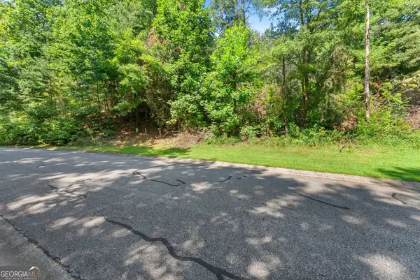 0 Raspberry Lane #1502, Clarkesville, GA 30523