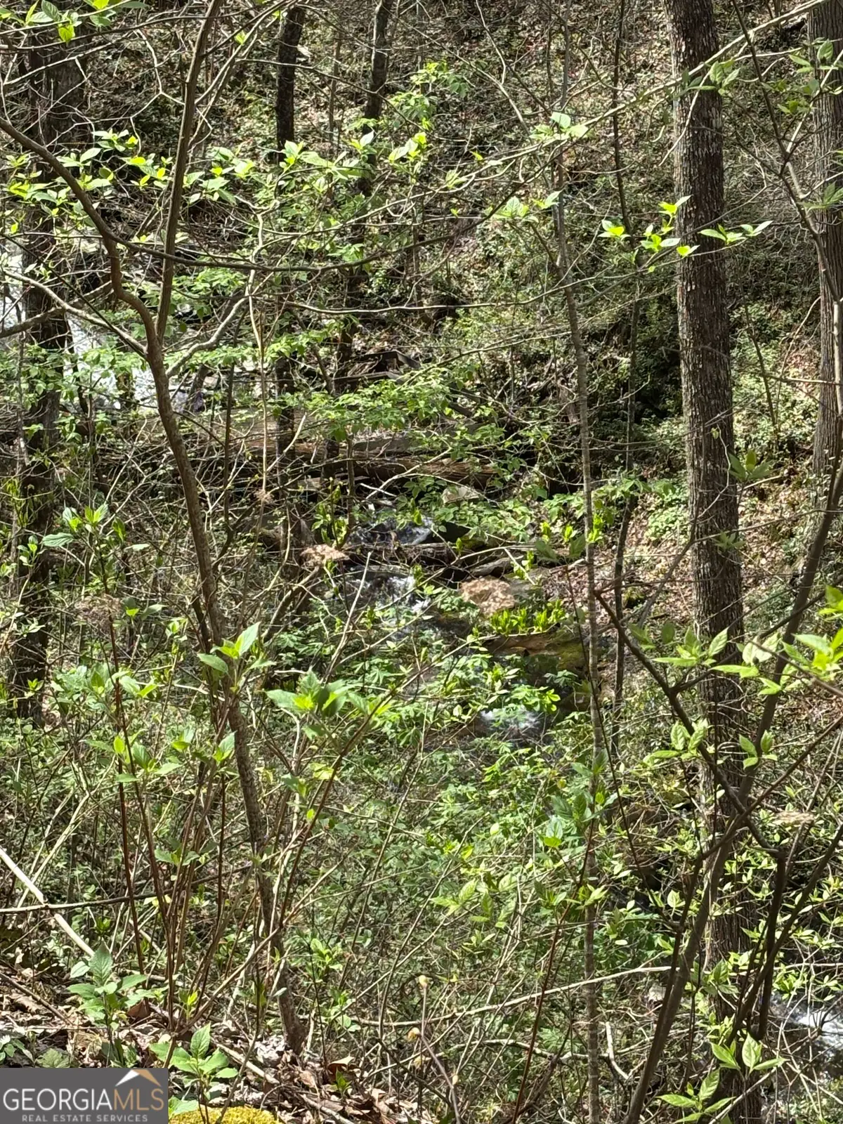 0 Laurel Branch, Dawsonville, GA 30534 - #1