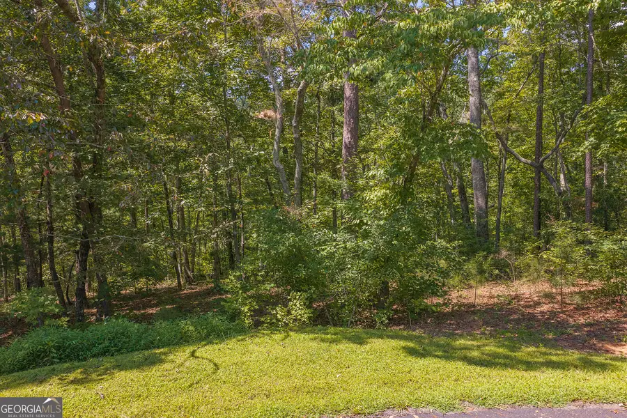 LTS 205/206 Harris Ridge Drive, Ellijay, GA 30540 - #3