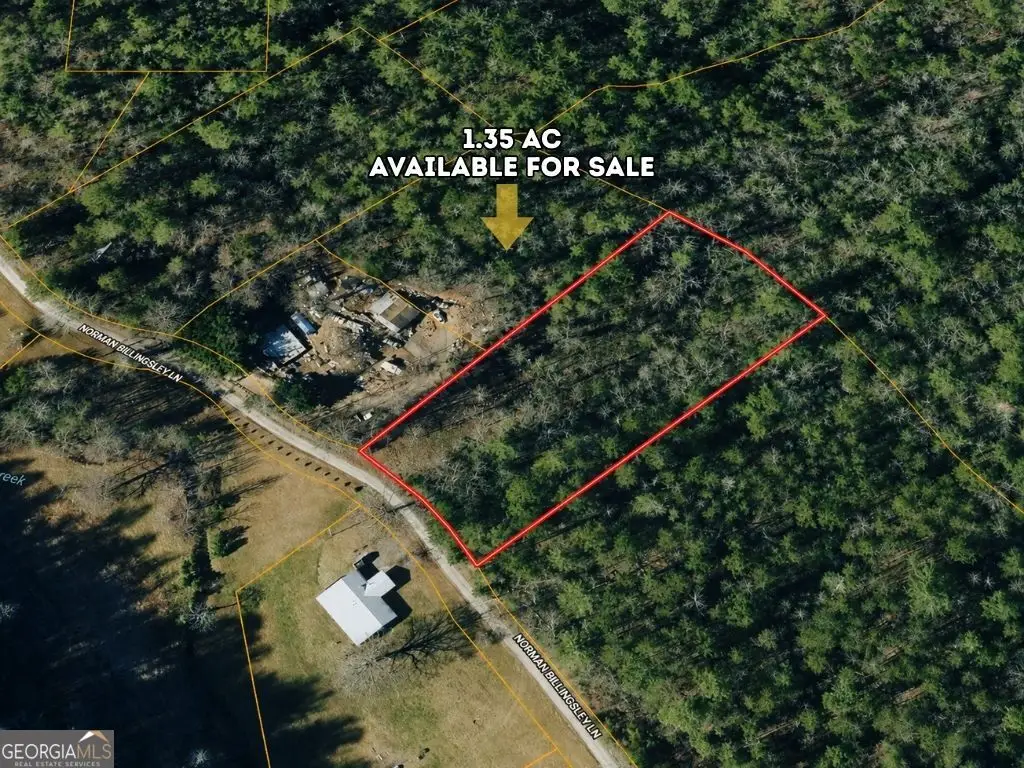 0 Norman Billingsley, Clayton, GA 30525 - #1