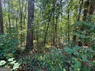 40 Crescent Drive, Toccoa, GA 30577 - #2