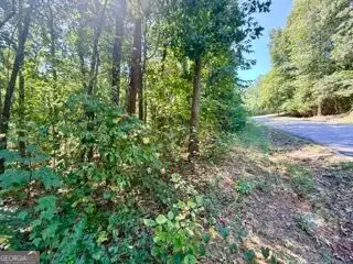 40 Crescent Drive, Toccoa, GA 30577 - #3