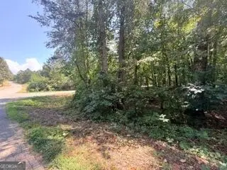 82 Crescent Drive, Toccoa, GA 30577 - #2