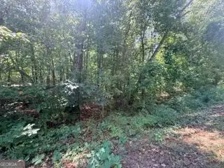 82 Crescent Drive, Toccoa, GA 30577 - #3