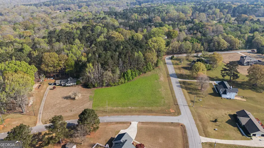 0 Bear Creek Trail, Hampton, GA 30228 - #2