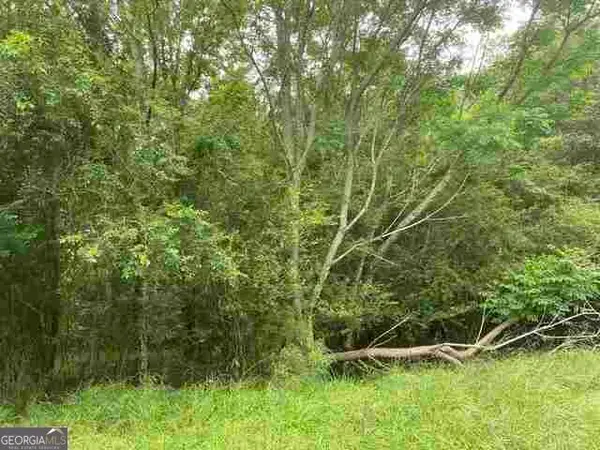 0 River Birch Lane #TRACT 9, Colbert, GA 30628
