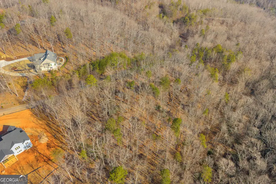 0 Planters Creek, Banks, GA 30511 - #3