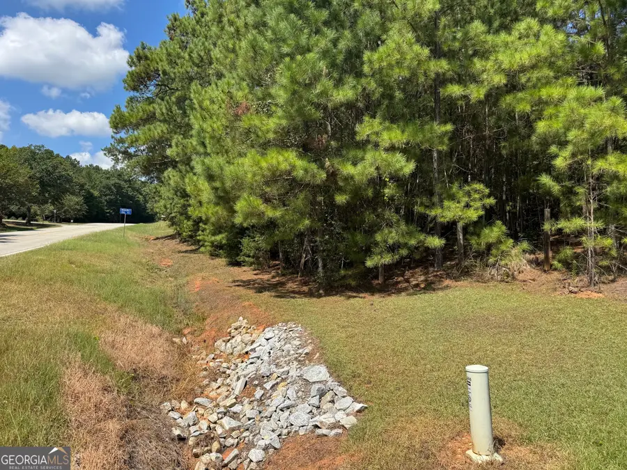 0 Millstone Creek Road, Elberton, GA 30635 - #3