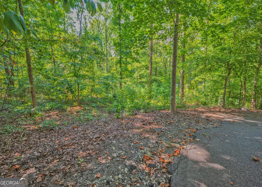 279 Mavericks Run, Martin, GA 30557 - #2