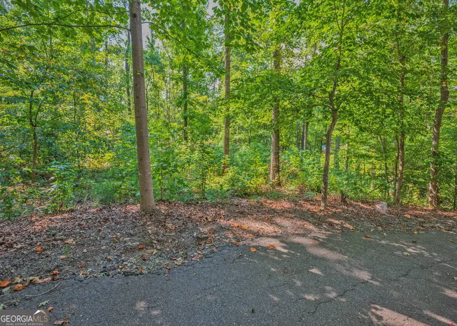 279 Mavericks Run, Martin, GA 30557 - #3