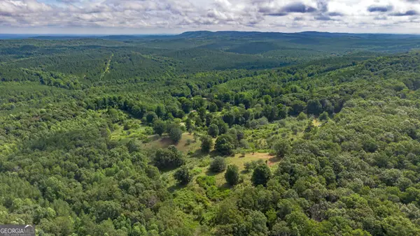 5967 County Road 19 #LOT 1, Heflin, AL 36264